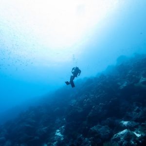 Solo Diver